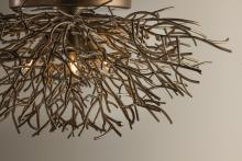 Sierra Family_008.jpg